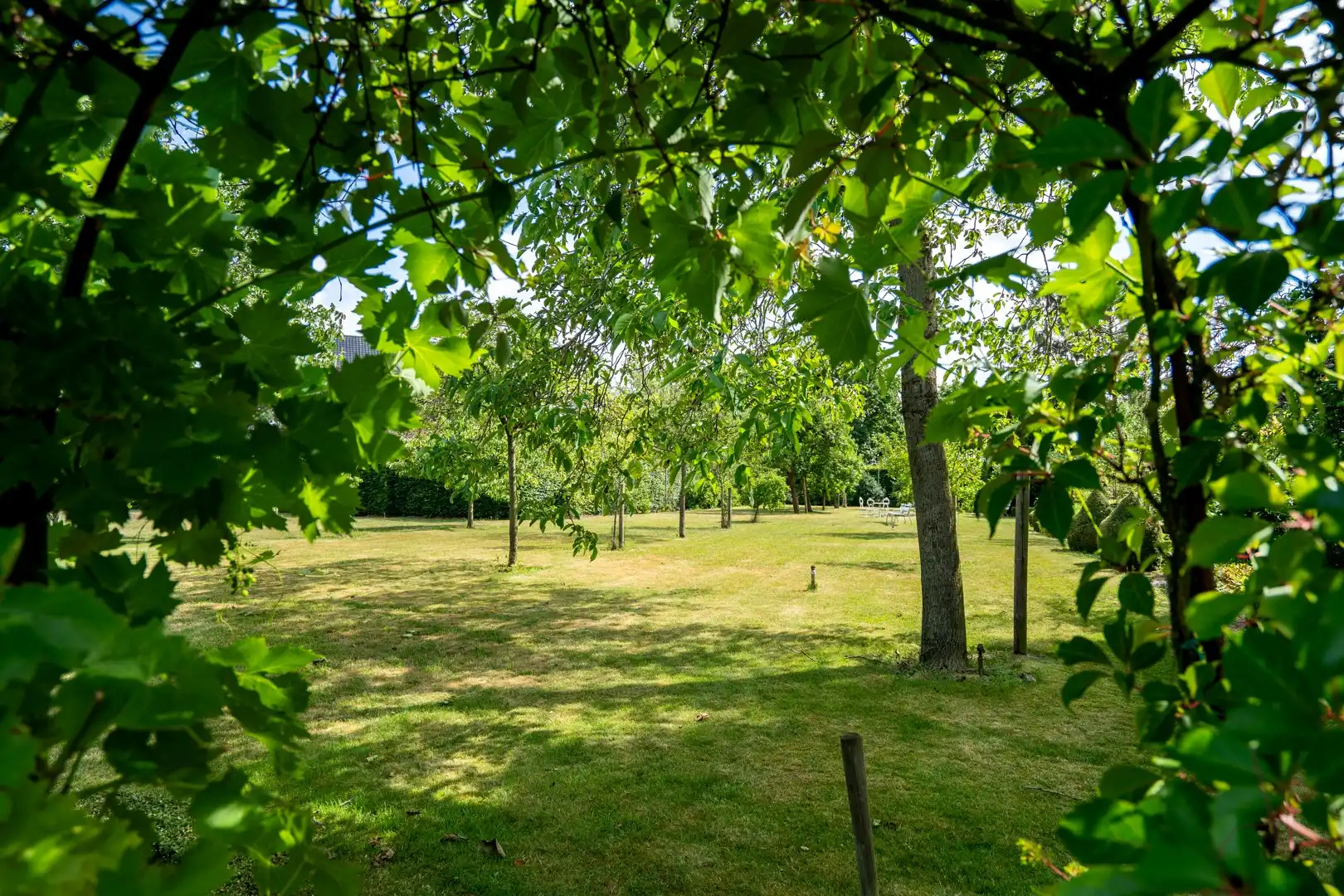 Riante karaktervolle villa met parktuin op ruim 1 hectare foto 30