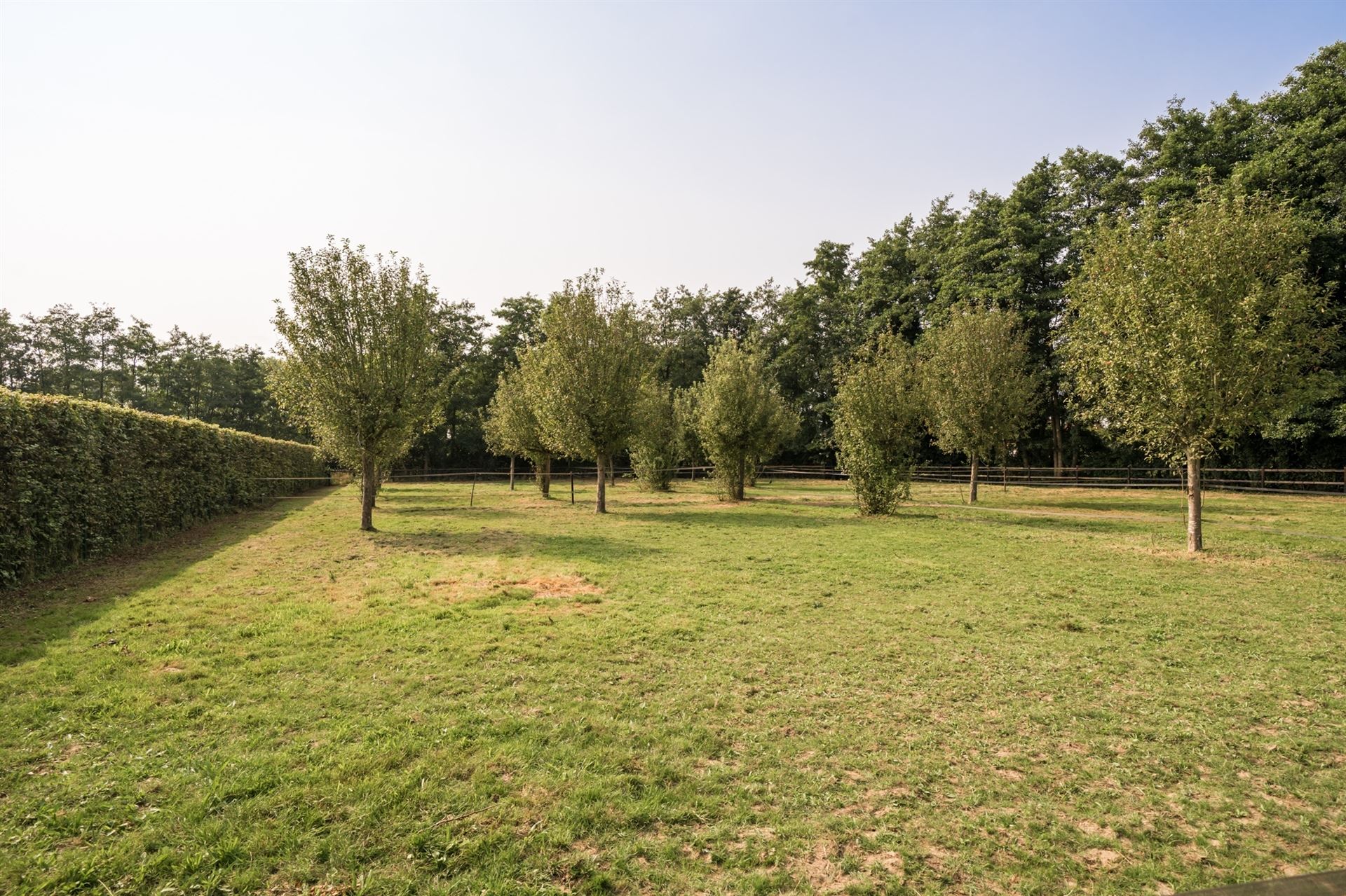 Uitzonderlijk en uniek pand in een paradijselijke omgeving waar luxe en natuur samenkomen foto 8