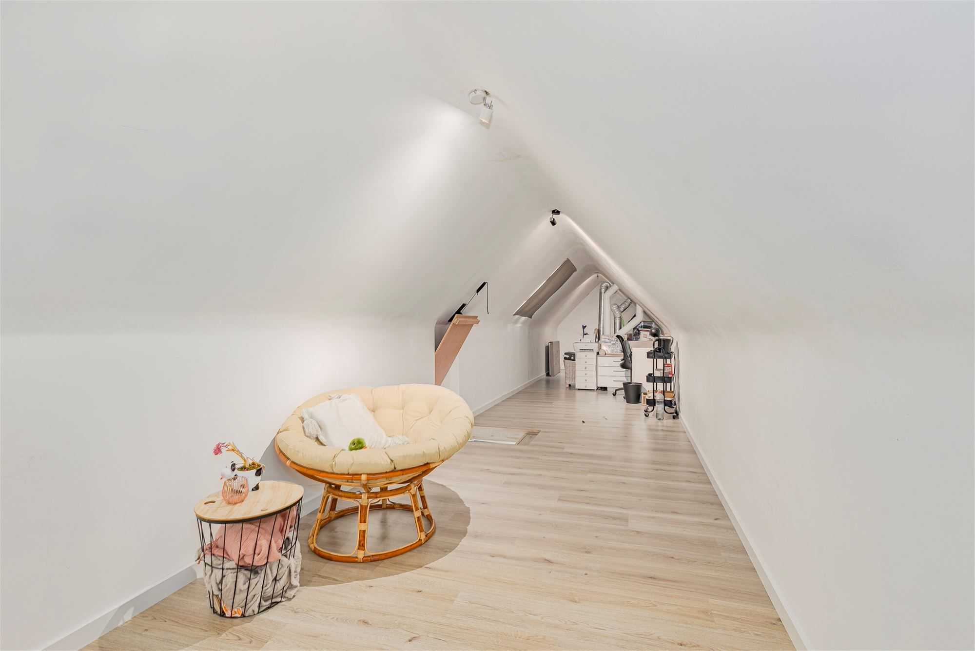 Prachtige loft met 3 slpk en ruim terras in Bazel foto 9