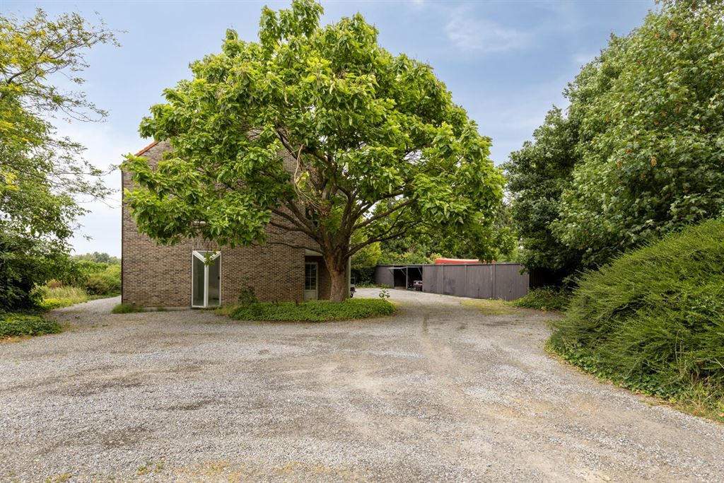 Twee ruime, te renoveren, woningen te koop!  foto 9