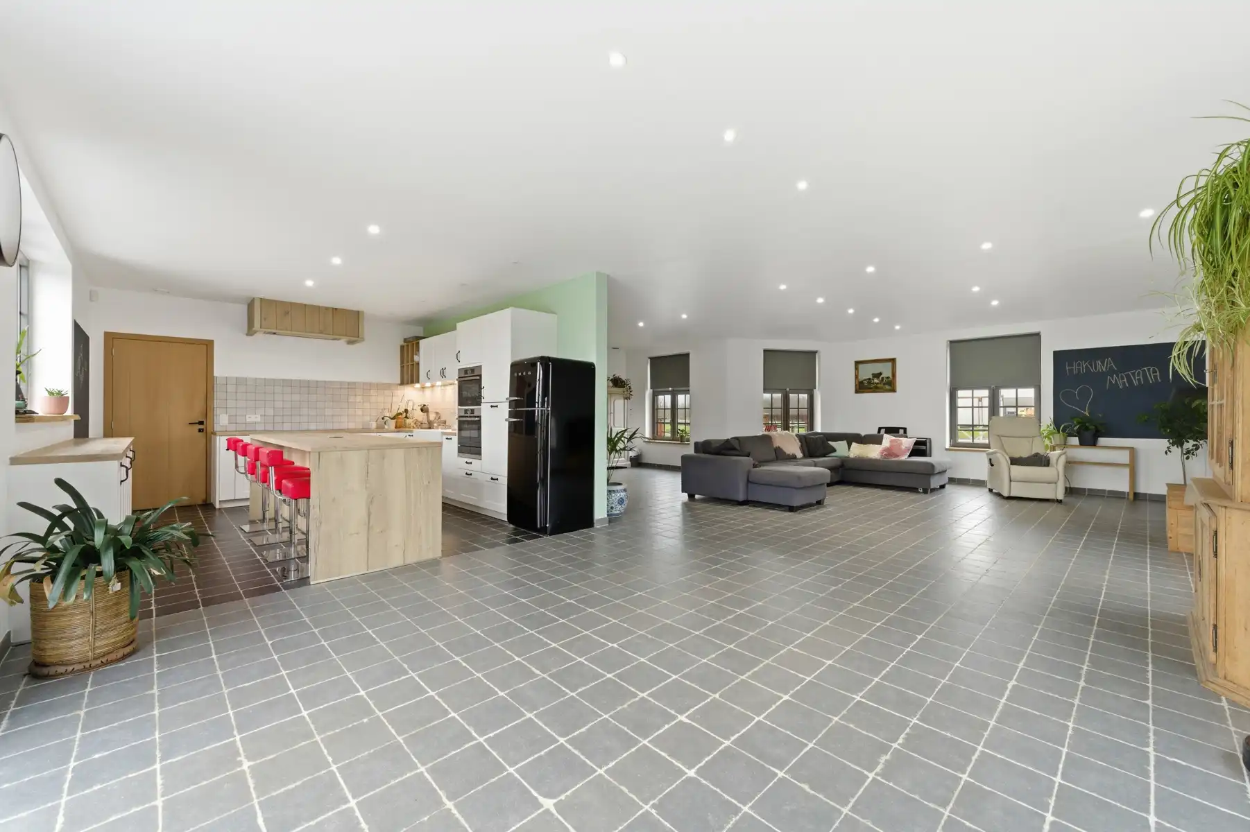 Recente BEN villa met 1,7 ha weiland foto 6