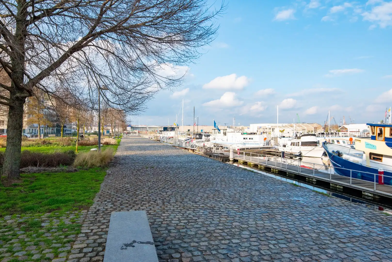 Charmant appartement in het bruisende Eilandje foto 21