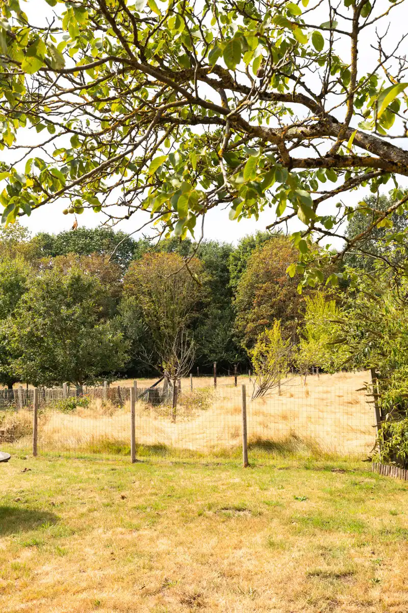 Prachtig groen gelegen renovatiewoning met prachtige tuin foto 19