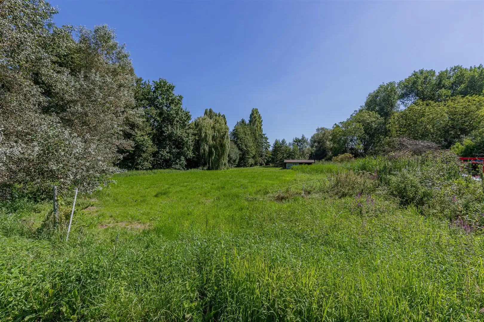 Exclusieve bouwgrond te koop Sint-Onolfsdijk, Dendermonde foto 8