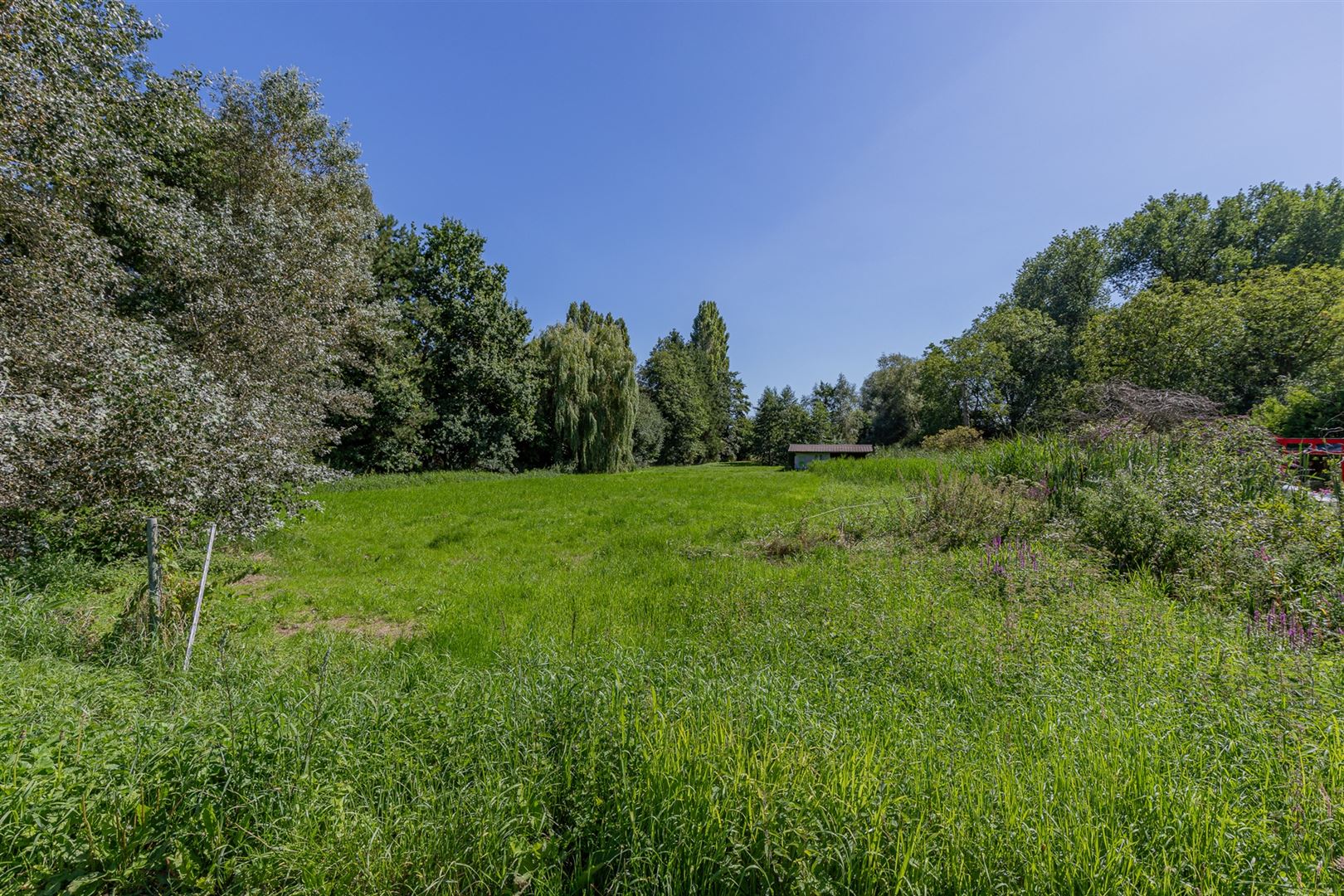 Exclusieve bouwgrond te koop Sint-Onolfsdijk, Dendermonde foto 8