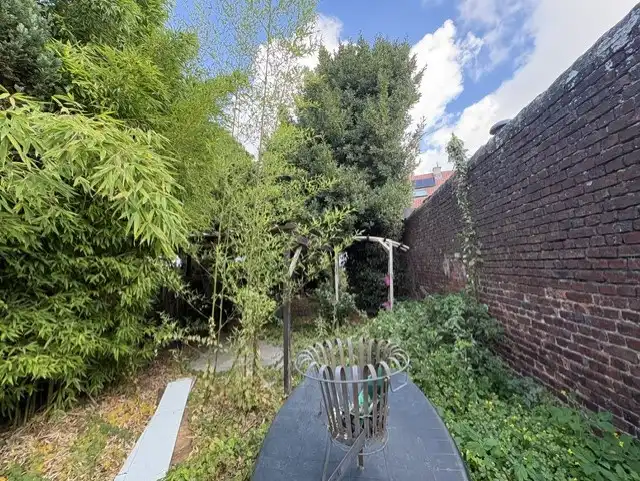 Totaalrenovatie met topligging en 230m² grond foto 9