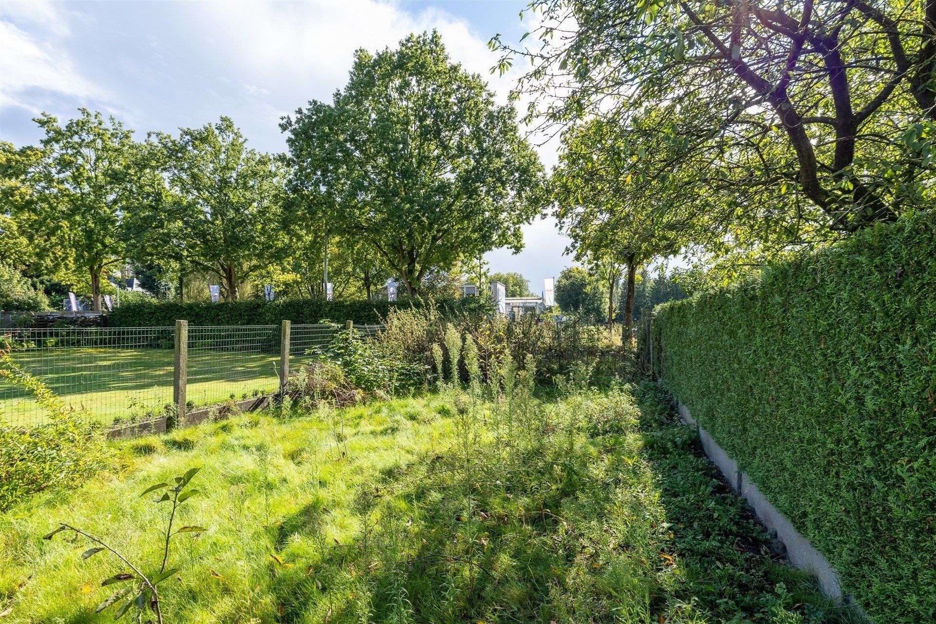 Te renoveren woning met tuin foto 18