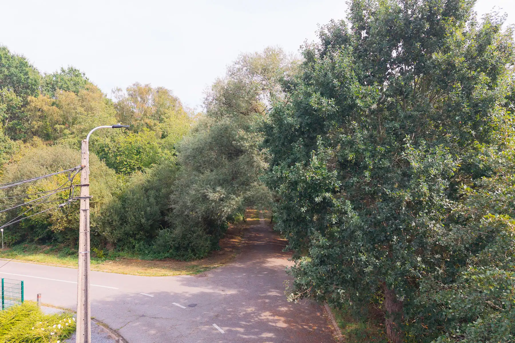 Prachtig stuk natuur foto 10