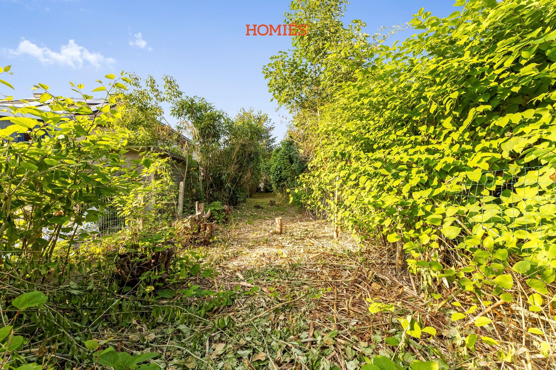 Ruime achtergelegen bouwgrond vlak bij Leuven foto 2