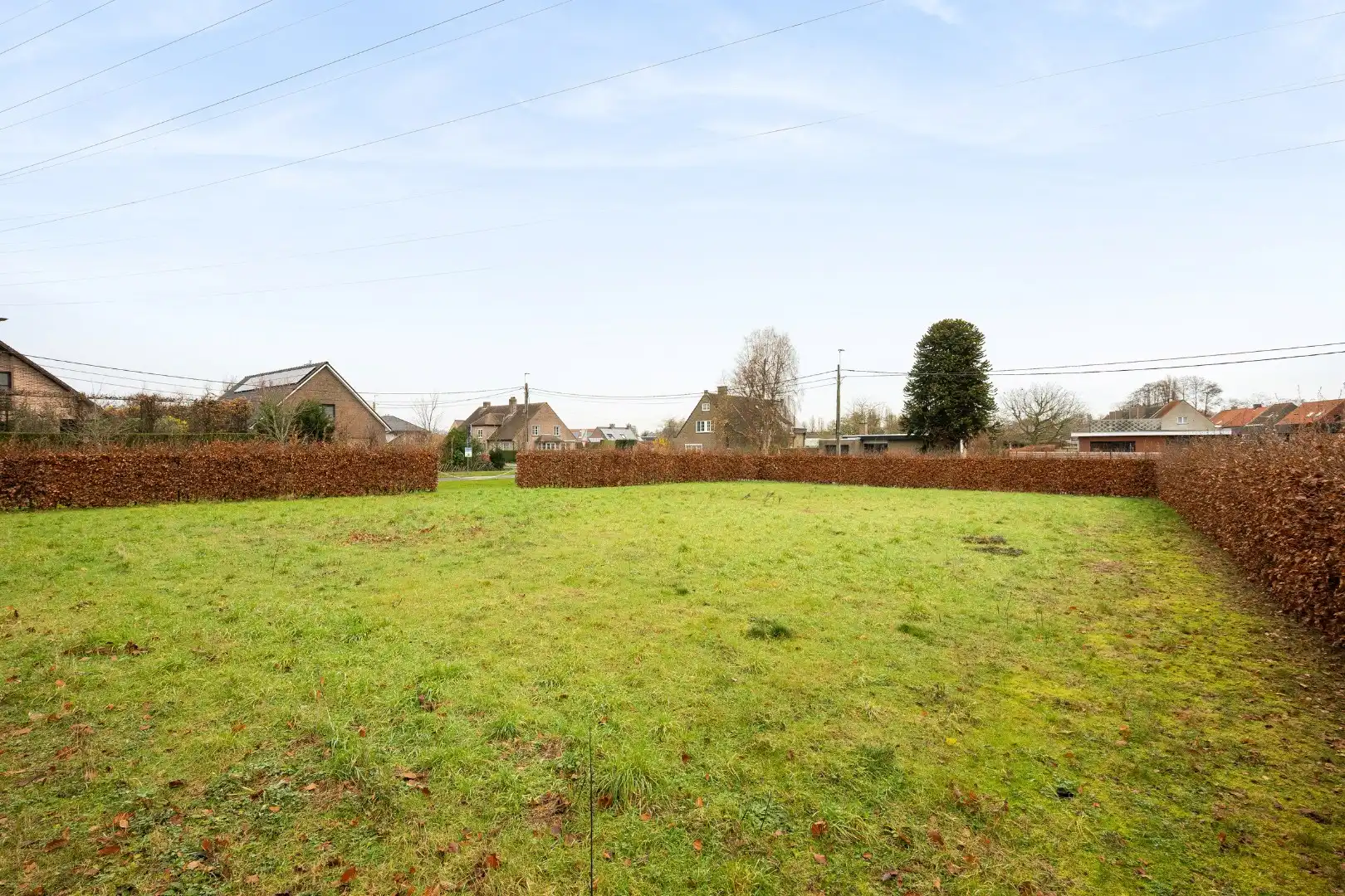 Bouwgrond (perceel: 973 m²) op een topligging in Roeselare foto 3