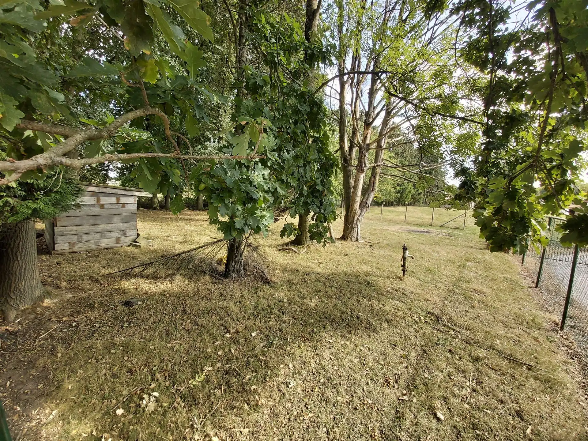 Perceel grond van 25a20ca in woonuitbreidingsgebied in het rustige Boorsem! foto {{pictureIndex}}