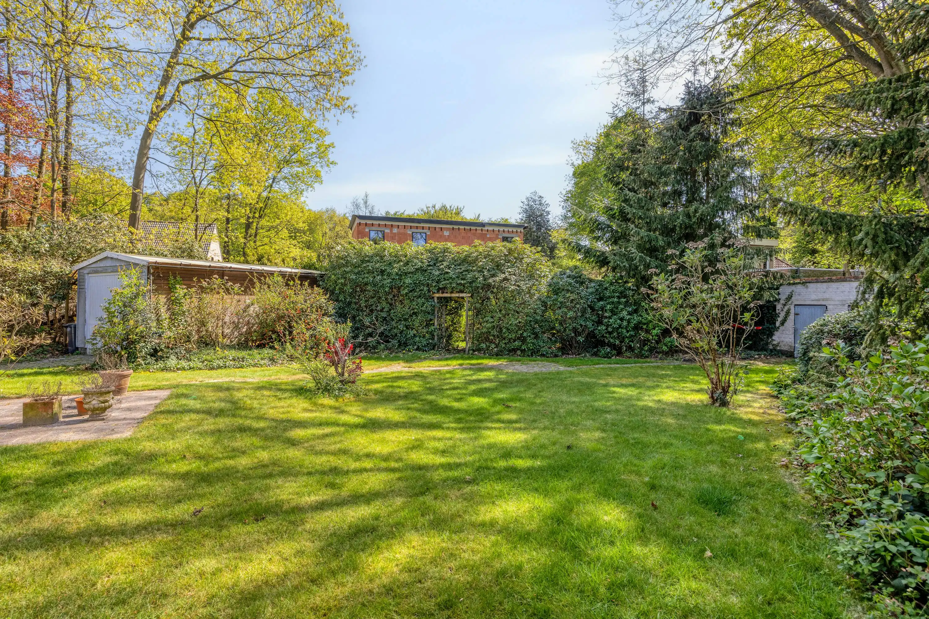 Laagbouwwoning in Heide-Kalmthout met 3 slaapkamers foto 20