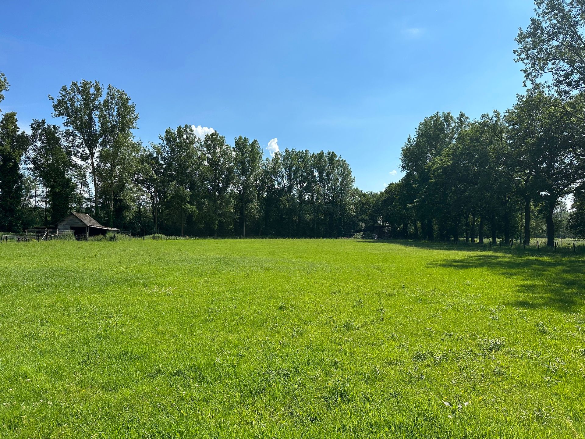 KERMT - Statige hoeve met bijgebouwen op 2ha13  foto 37