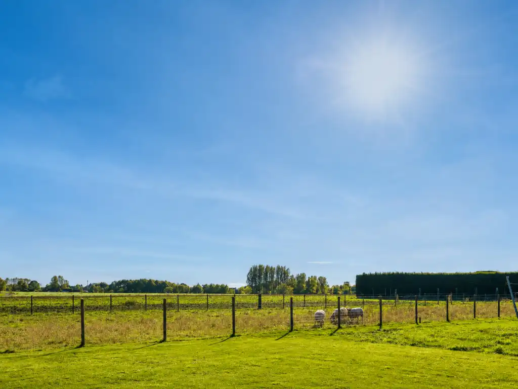 Karaktervolle gerenoveerde hoeve met zwembad en wijngaard op 4.700 m² te Vurste. foto 30