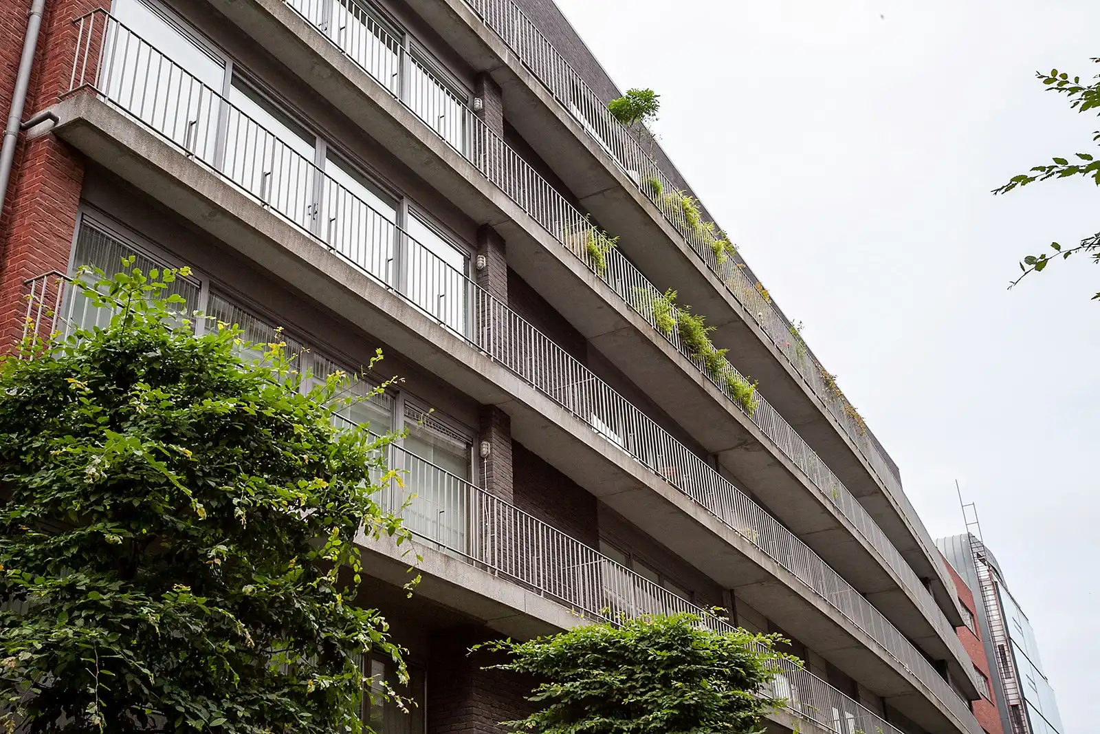 Mooi nieuwbouwappartement op het Zuid foto 2