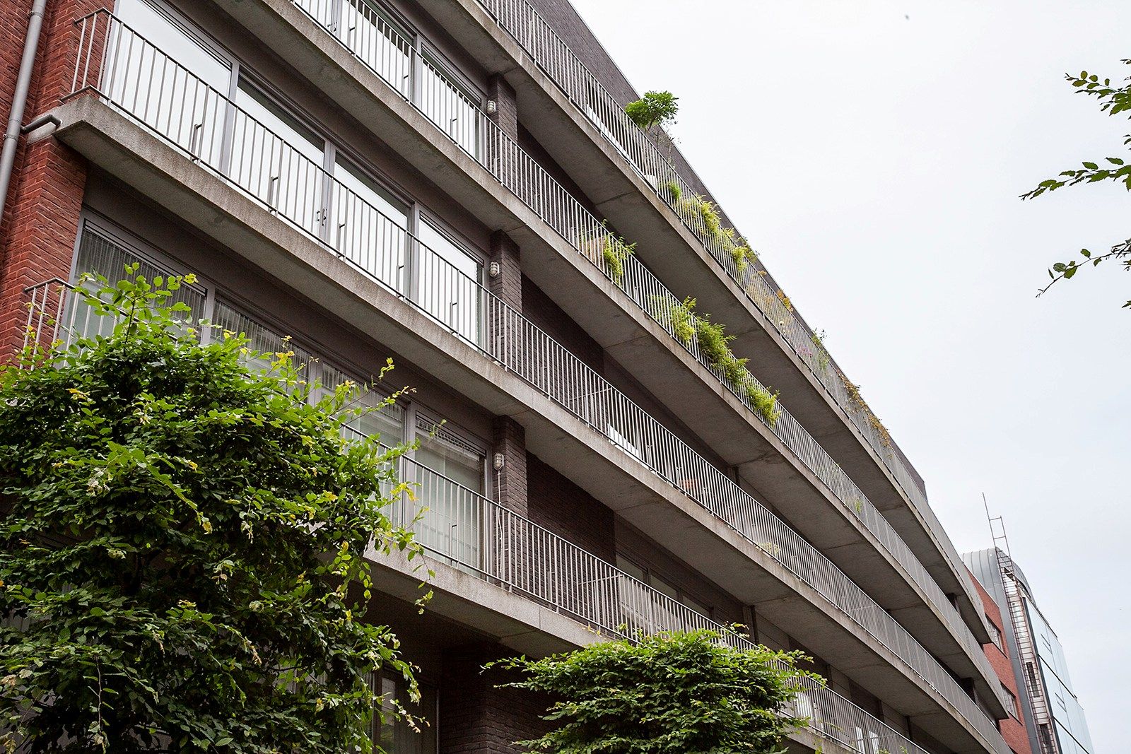 Mooi nieuwbouwappartement op het Zuid foto 2