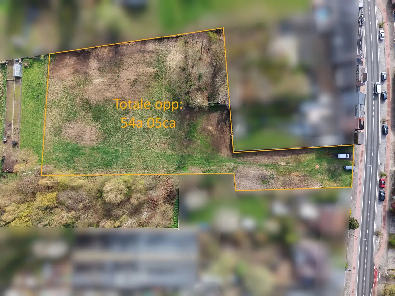 Bouwgrond + weide met diverse mogelijkheden! foto 3