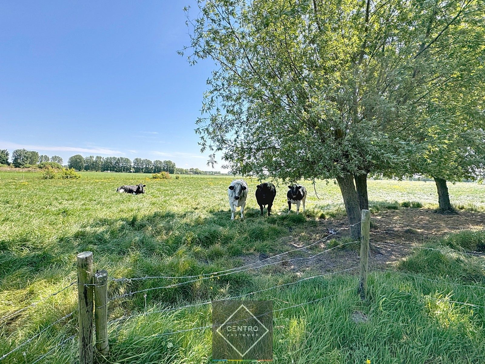 Idyllisch gelegen woning op 10.162m2 grond! foto 35