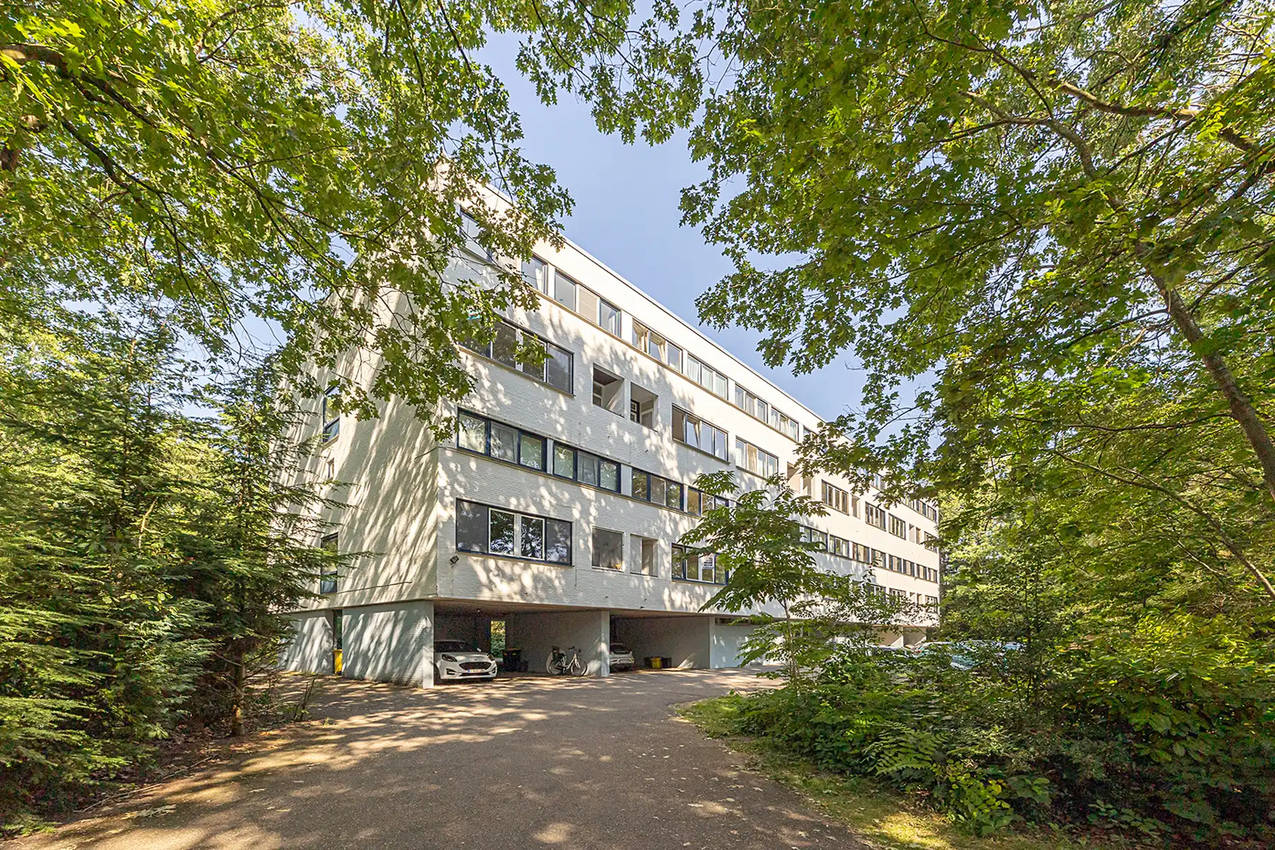 🌿 Kom binnen & ontdek | Zaterdag 25 juli van 10u - 12u foto 15