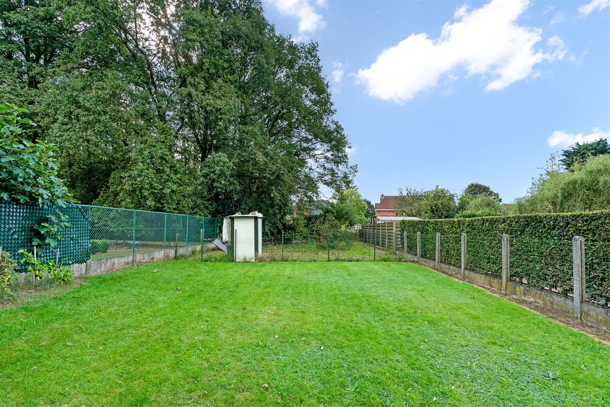 PERFECT ONDERHOUDEN WONING MET 3 SLAAPKAMERS EN GROTE TUIN VLAK BIJ BERINGEN CENTRUM foto 14