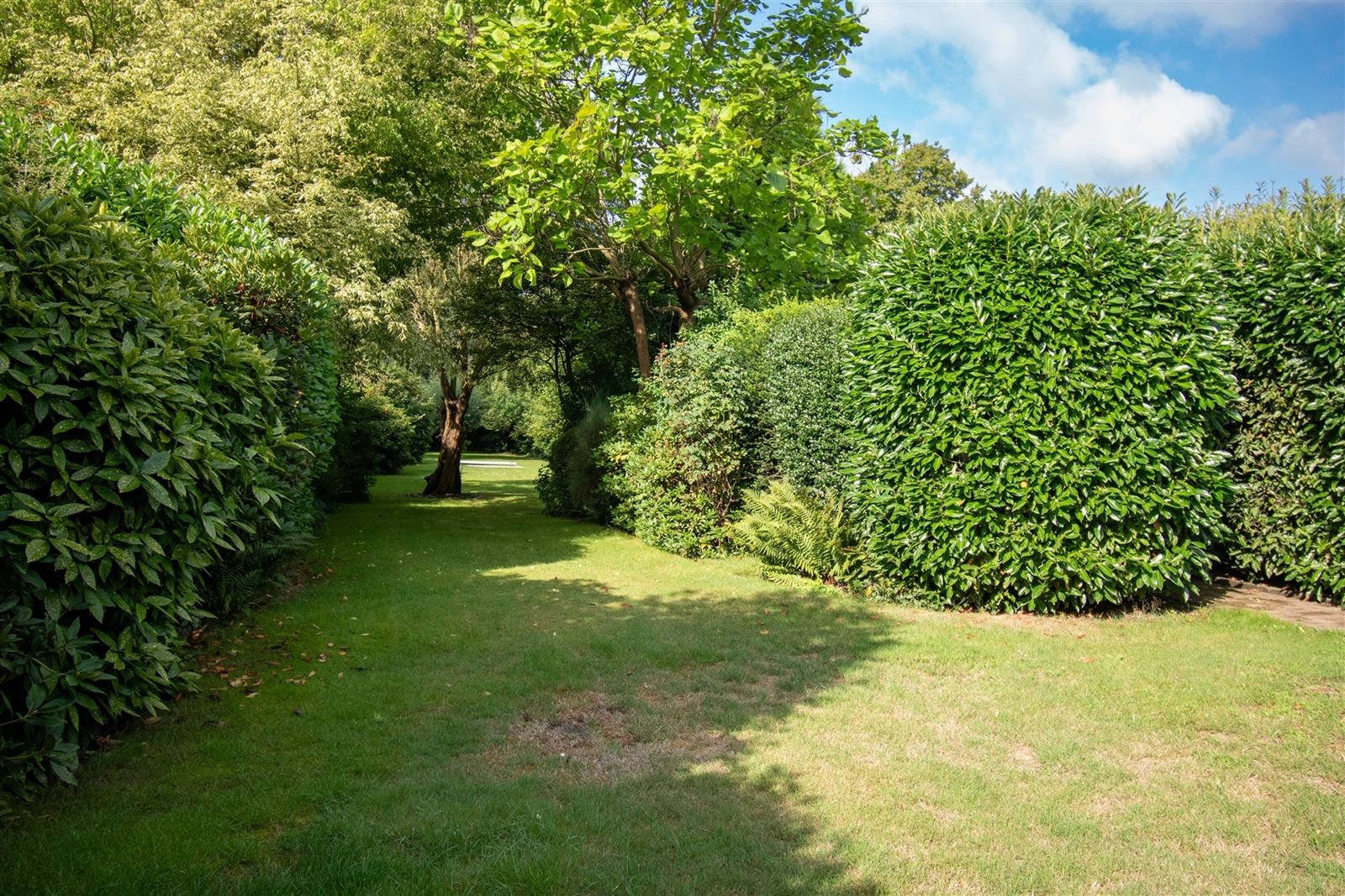 Exclusieve woning met 6 slaapkamers, 2 badkamers, parktuin en grote garage foto 4