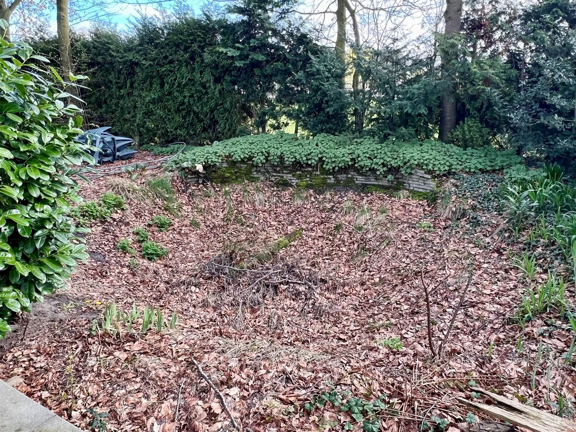 Vakantieverblijf op agrarisch en bebost perceel van 1183 m² foto 26