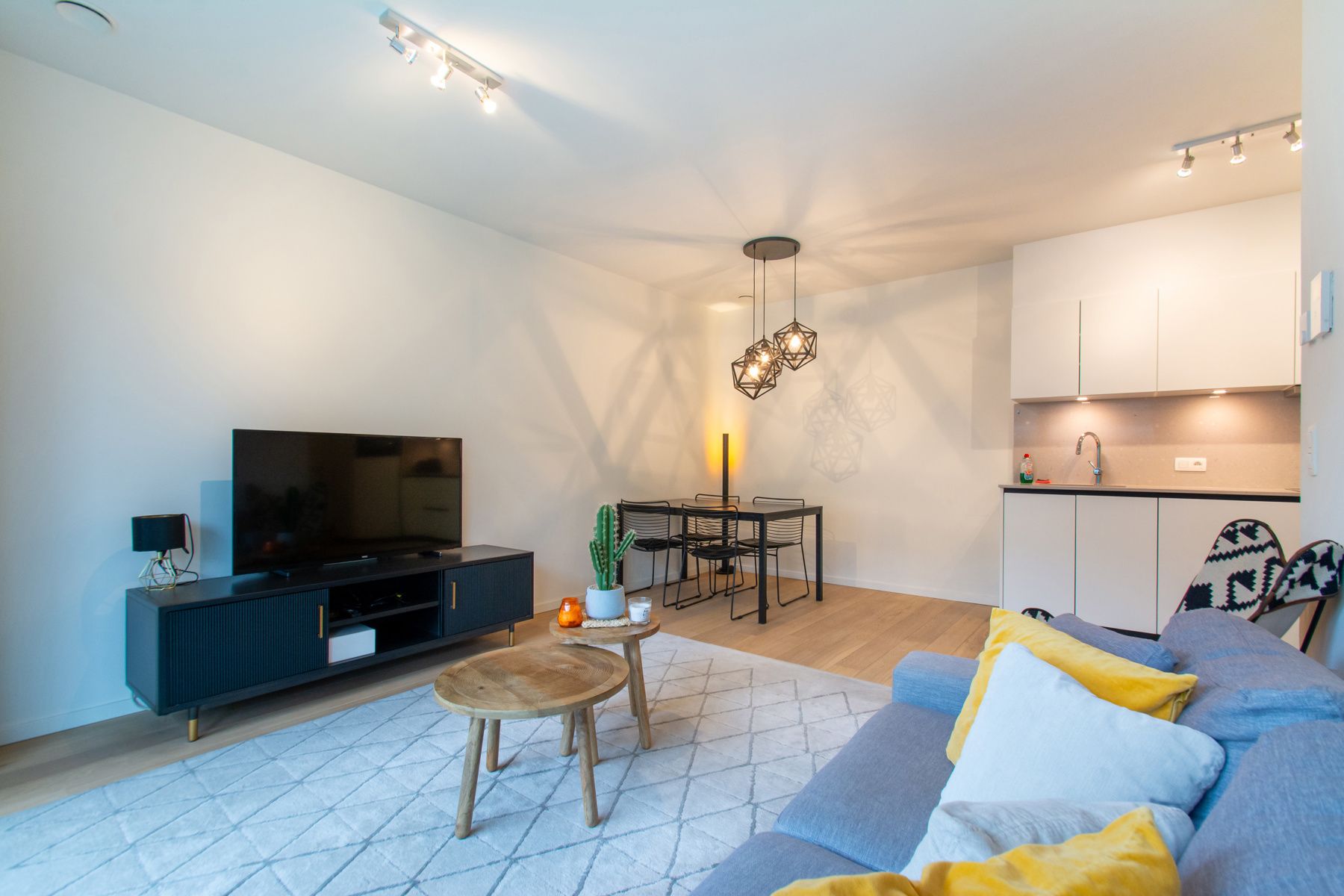 Gemeubeld 1-slaapkamer app met prachtig zicht op park  foto 3
