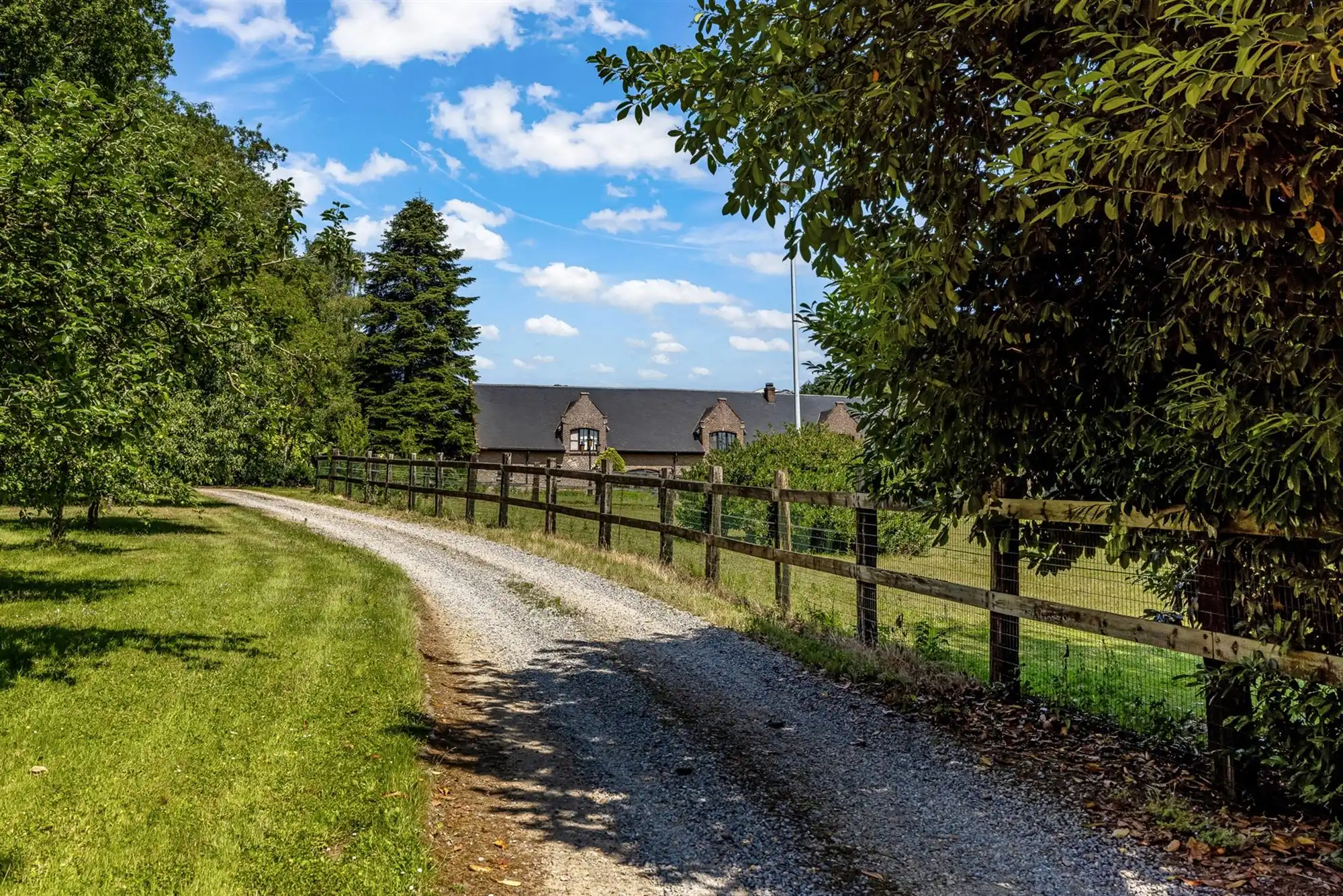 UNIEKE EIGENDOM MET 24 PAARDENSTALLEN EN BINNENPISTE OP CA 10 HECTARE TE PAAL-BERINGEN foto 49