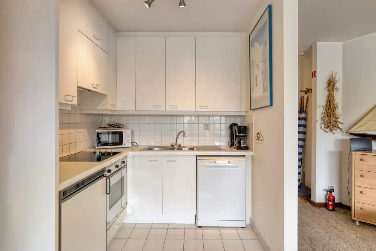 Charmant 1 slaapkamer appartement met terras en mogelijkheid tot aankoop van een garage foto 5