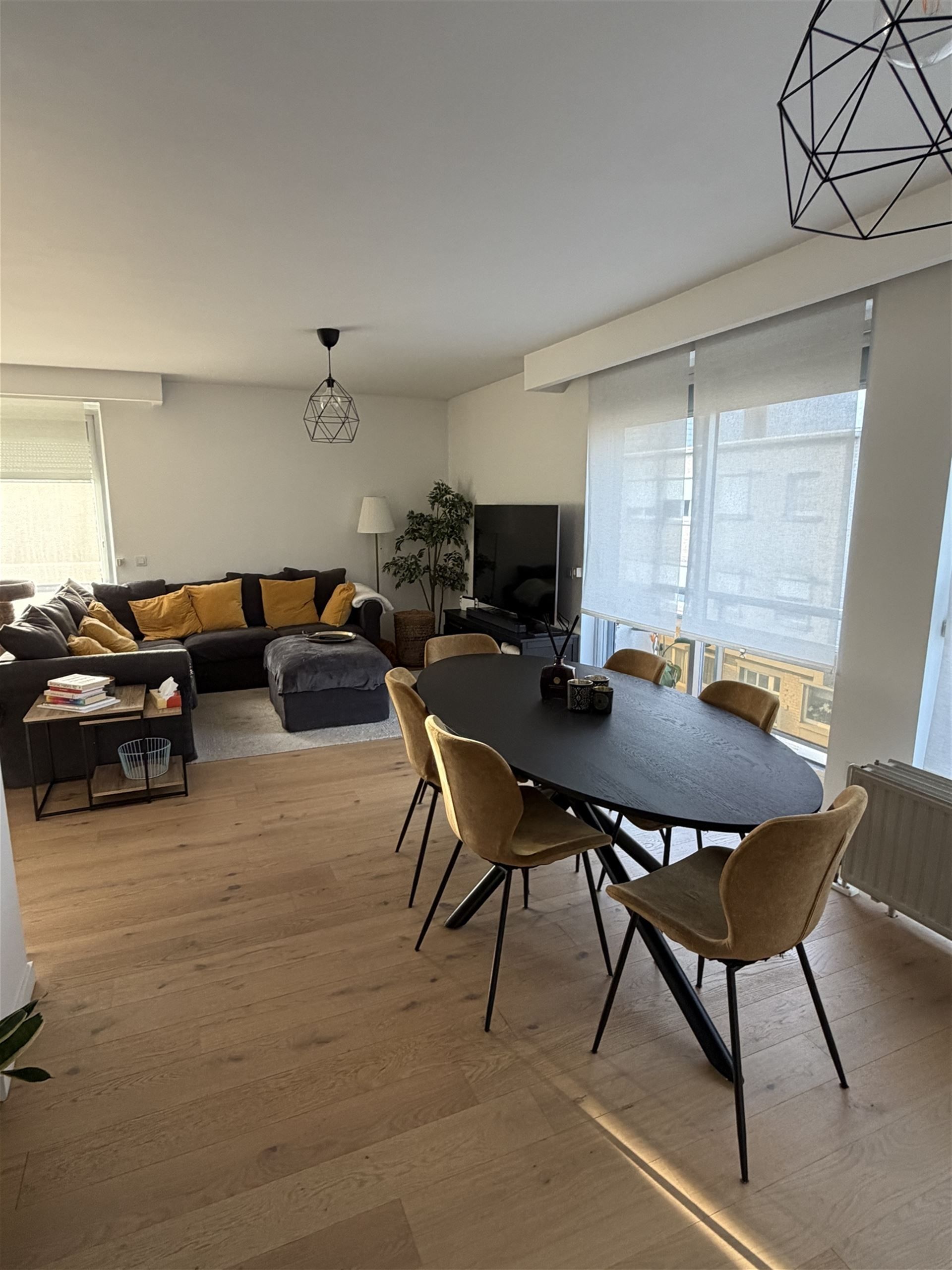 instapklaar appartement met garage ! foto 4