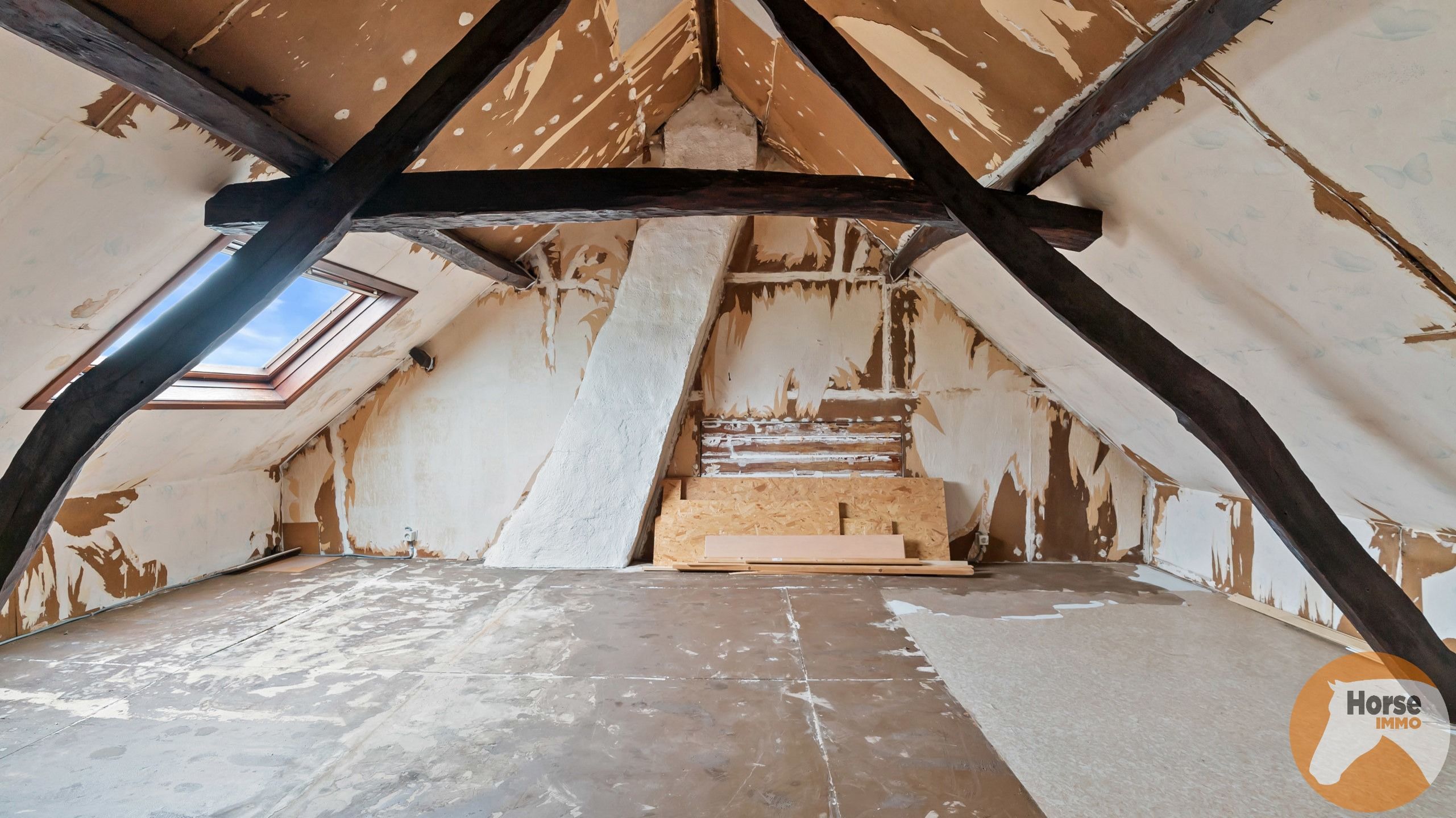 LIERDE - Hoeve met uniek uitzicht op +/-55are foto 26