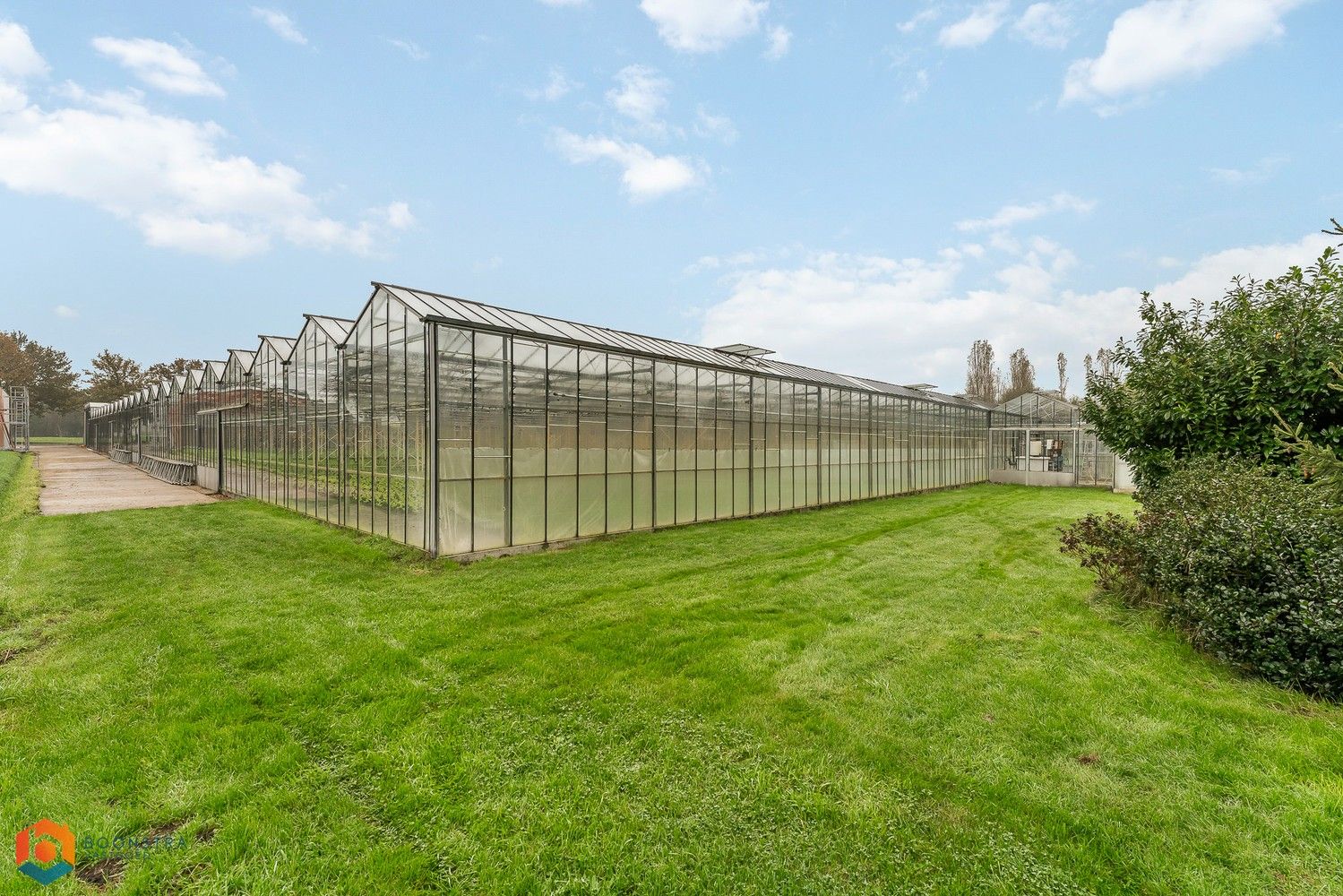 Landbouwwoning met 4 slpkrs en serre op een perceel van 13.598 m² te Sint-Katelijne-Waver foto 3