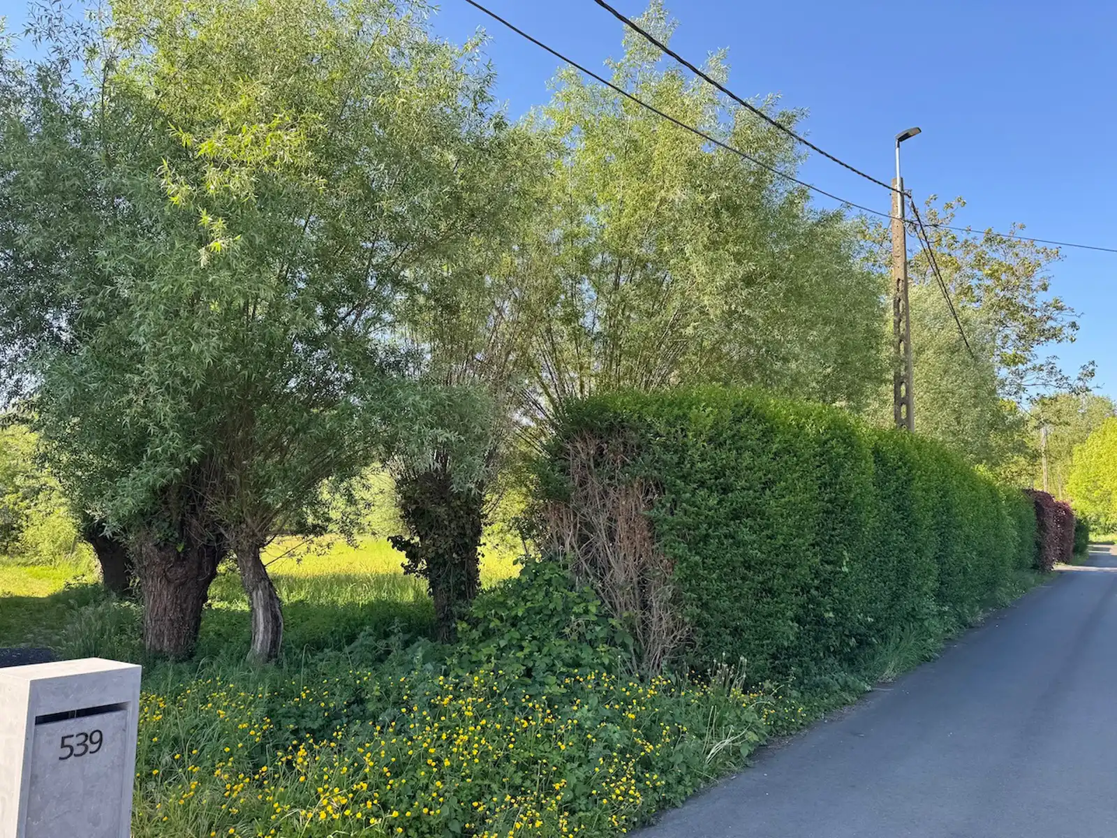 Grond te koop foto 4