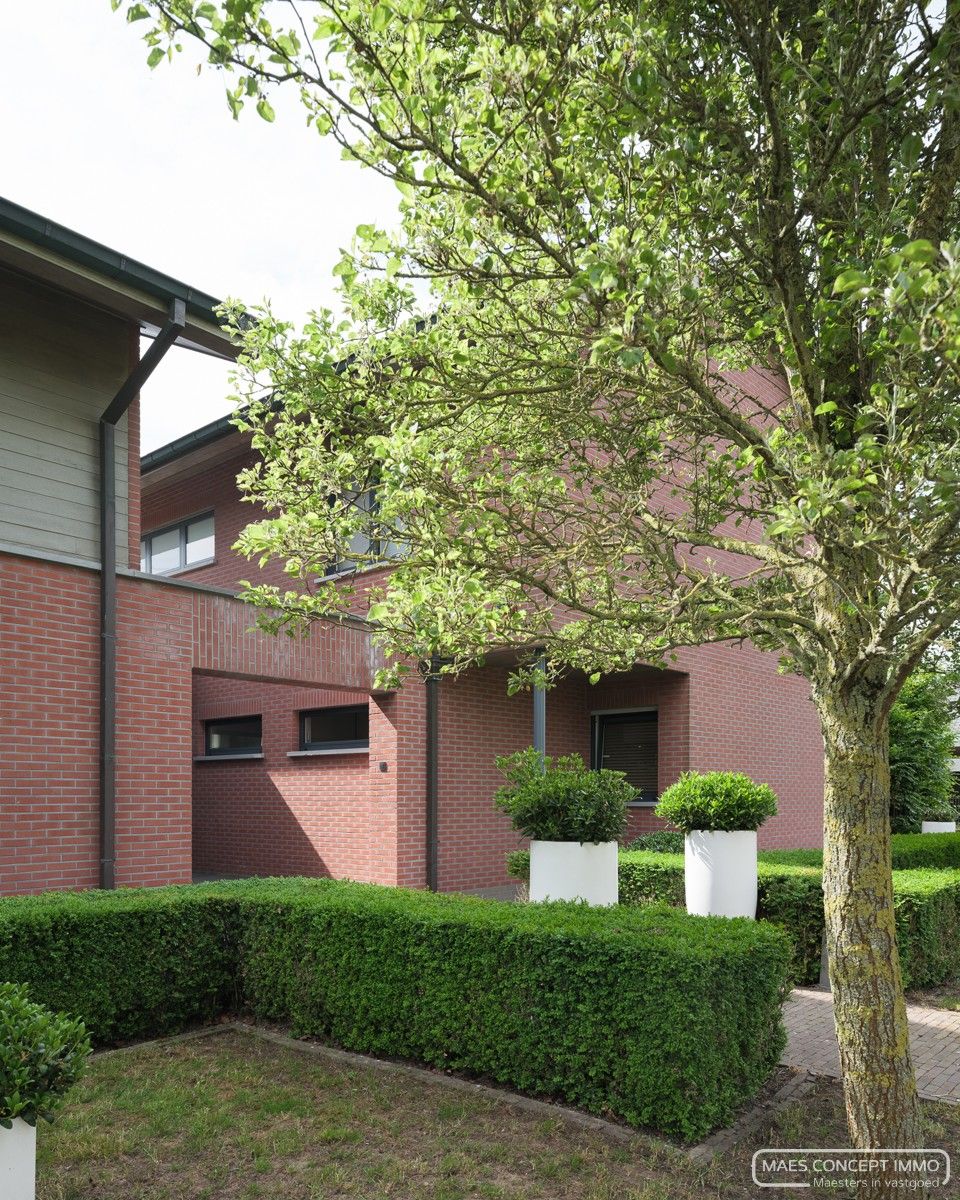 Villa en kantoor vlak bij het centrum van Anzegem foto 12