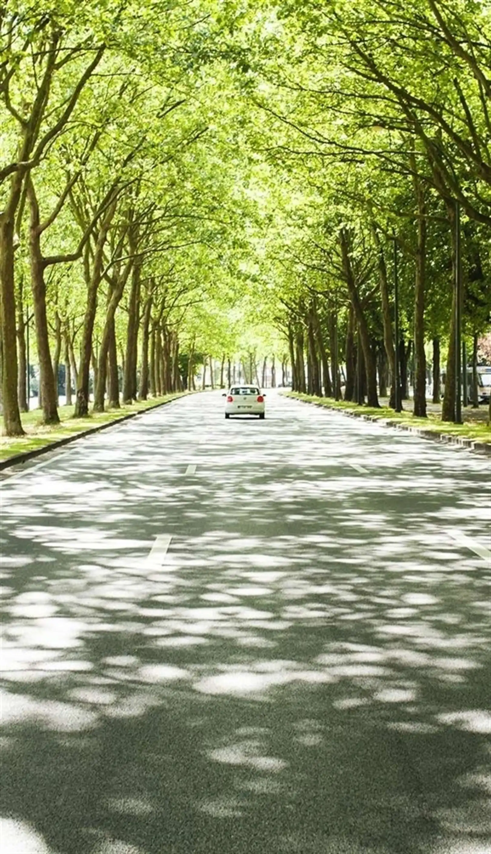 THE GRADIENT:  ruime, volledig vernieuwde kantoren op de prestigieuze Tervurenlaan: vanaf 251m² te huur foto 4