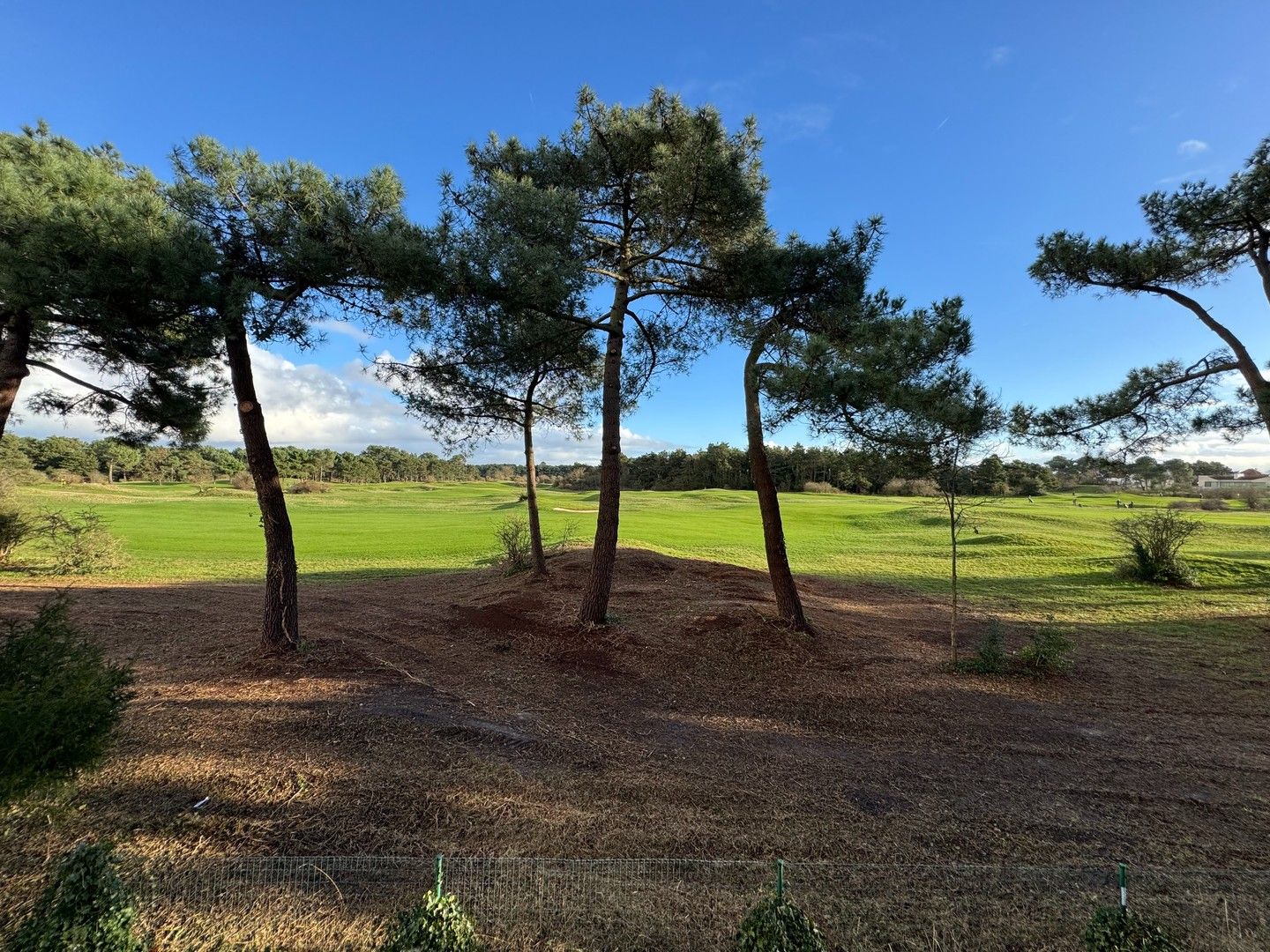 Te renoveren charmante koppelvilla gelegen in een paadje met panoramisch open zicht op de Royal Zoute Golf. foto 8