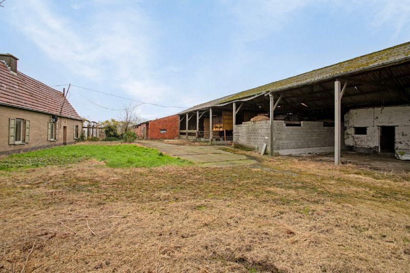 Uniek domein op 1 hectare in Landegem foto 8