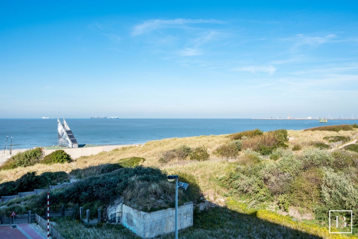 Zeer goed onderhouden studio met ruim terras en prachtig zicht op de duinen foto 2