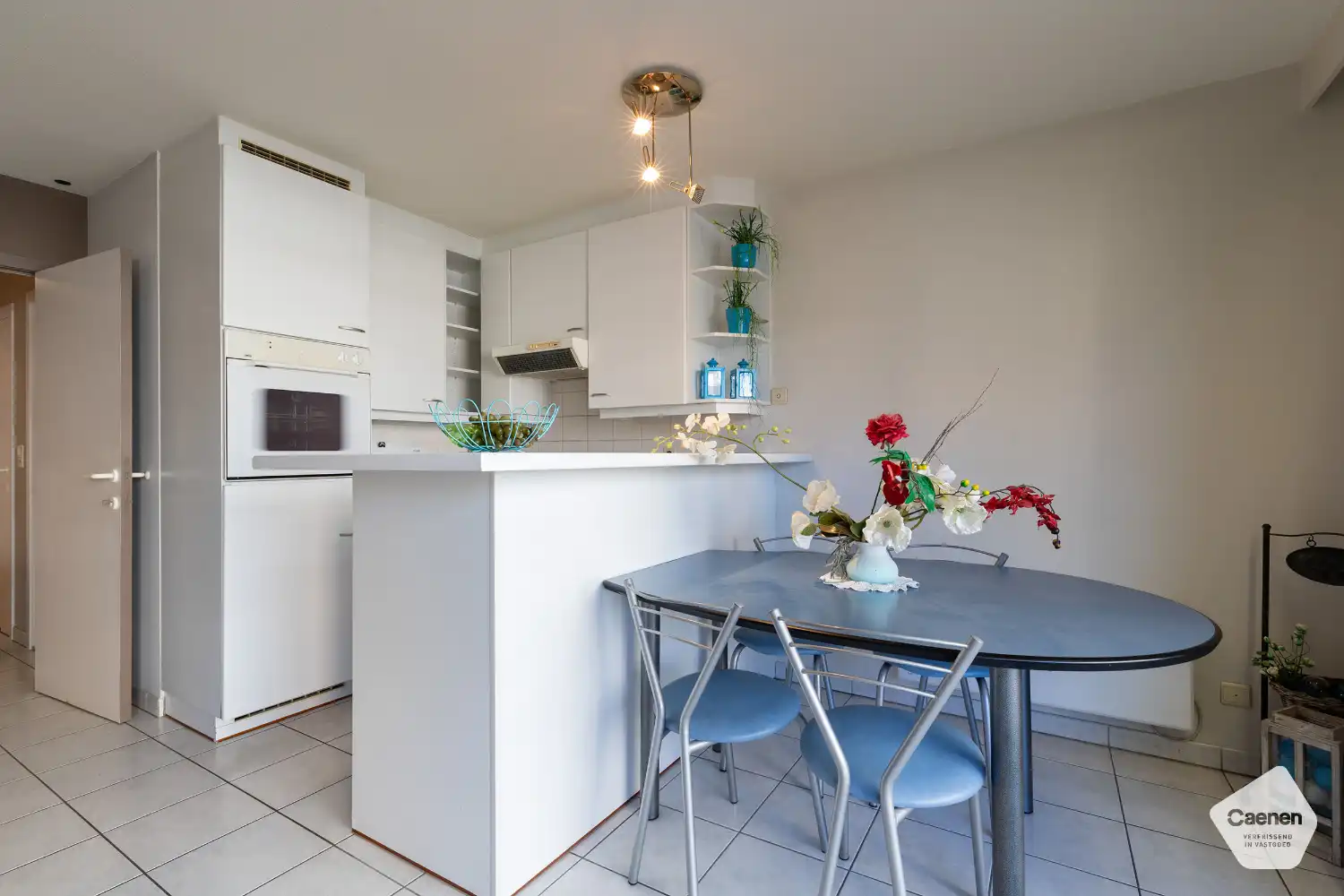 Zeer ruime studio met afgesloten slaaphoek te Nieuwpoort-Bad foto 5