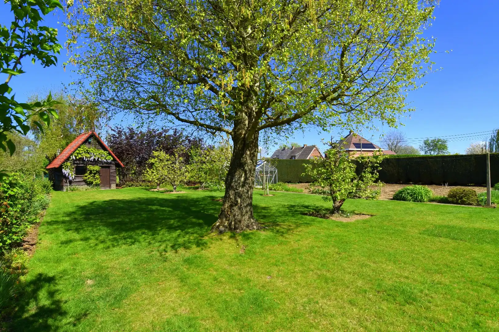 Villa met 4 slaapkamers (meer mogelijk!), garage en zonnige tuin te koop in Avelgem foto 24
