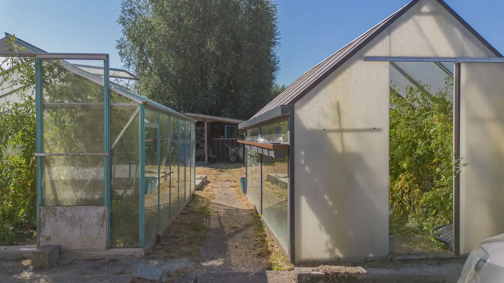 Gezellige HOB met ruime tuin, serres, tuinhuis en eigen oprit te Buggenhout foto 19