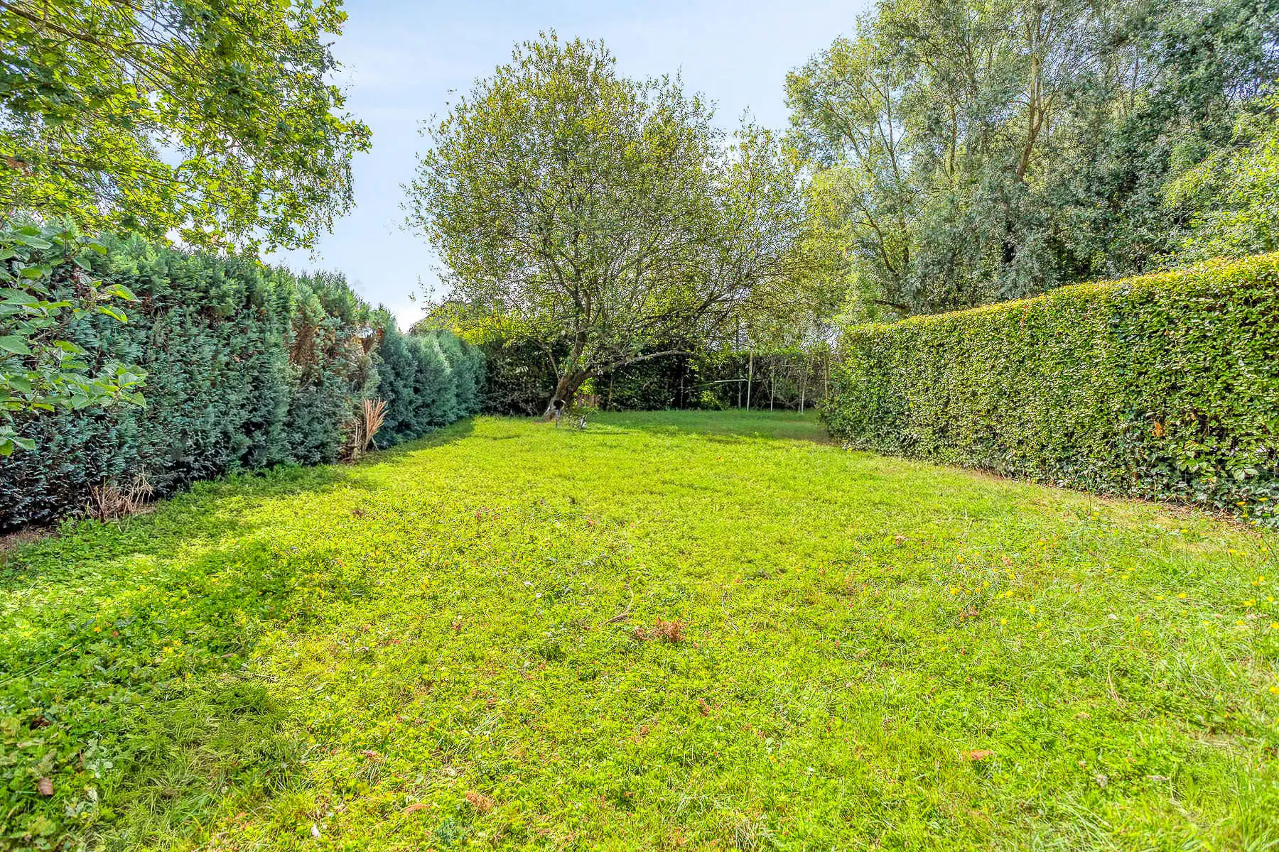 Landelijke laagbouw woning vol potentieel foto 22