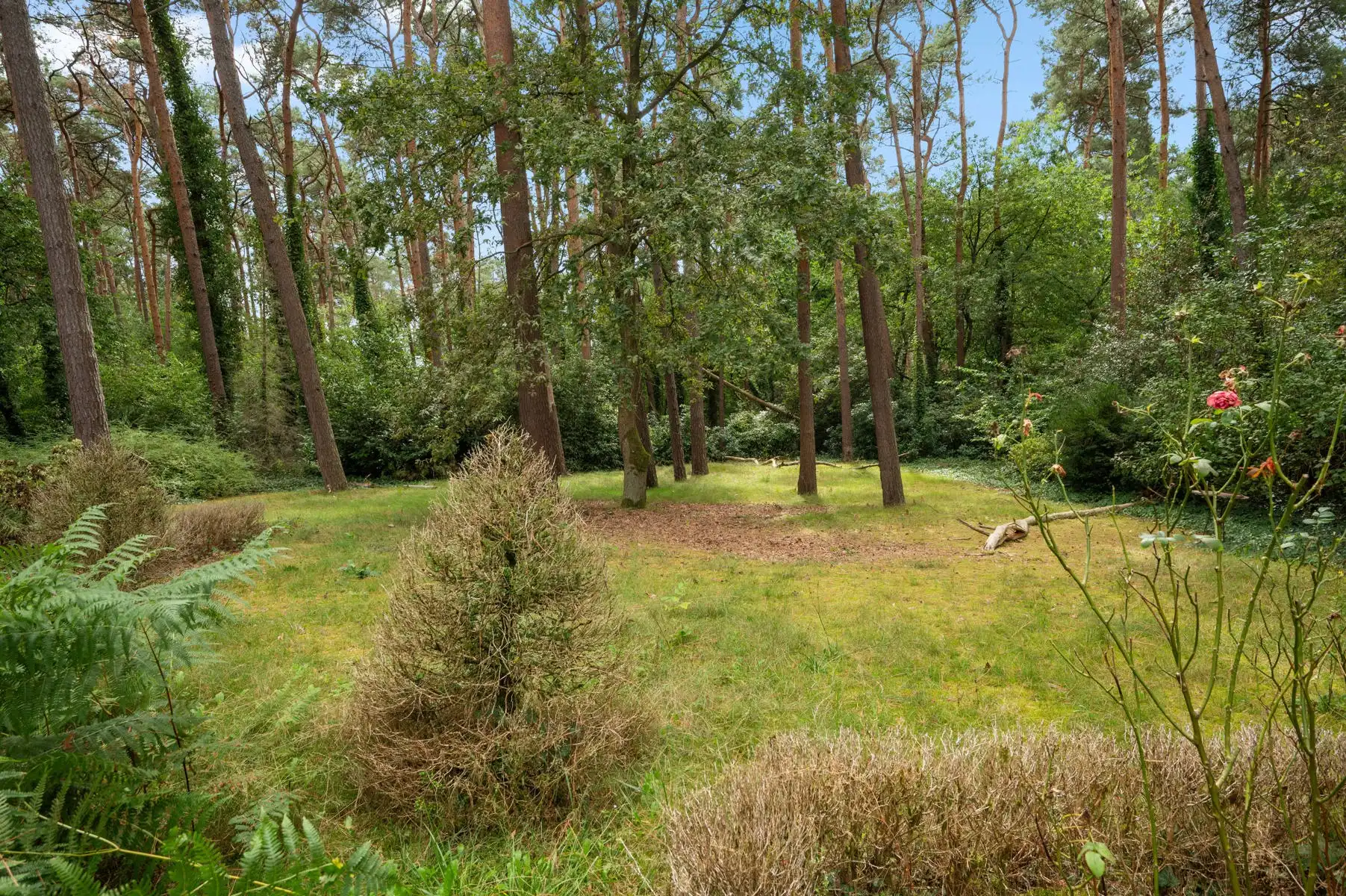 Tijdloze villa op 3.114 m2 te KEERBERGEN foto 27