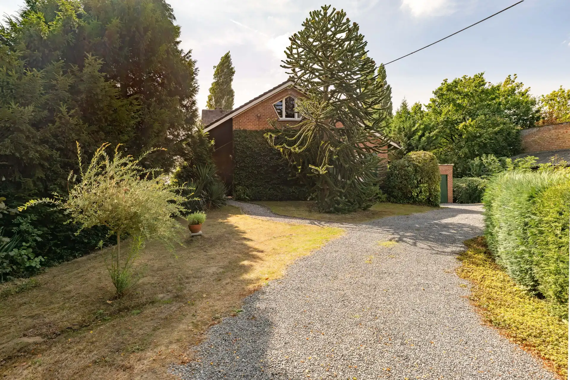 Charmante, op te knappen, statige villa met 3 slaapkamers en garage op een ruim perceel gelegen in het groen TE KOOP in Wielsbeke. foto 3