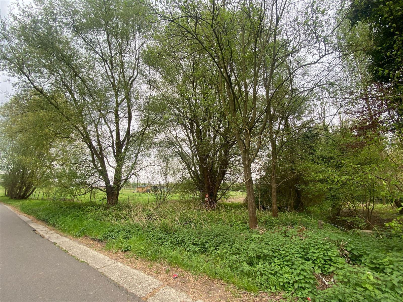 Natuurgebied in Asse foto 4
