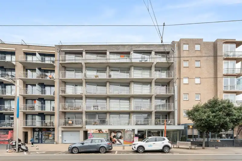 ZONGERICHT 2 SLAAPKAMERAPPARTEMENT OP 100 M VAN DE ZEEDIJK foto 18