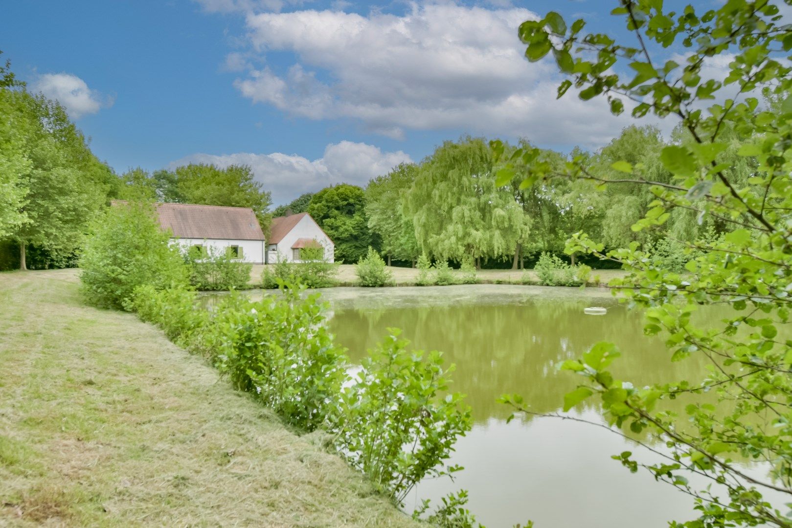 Exclusief domein op unieke locatie in Dentergem! foto 3