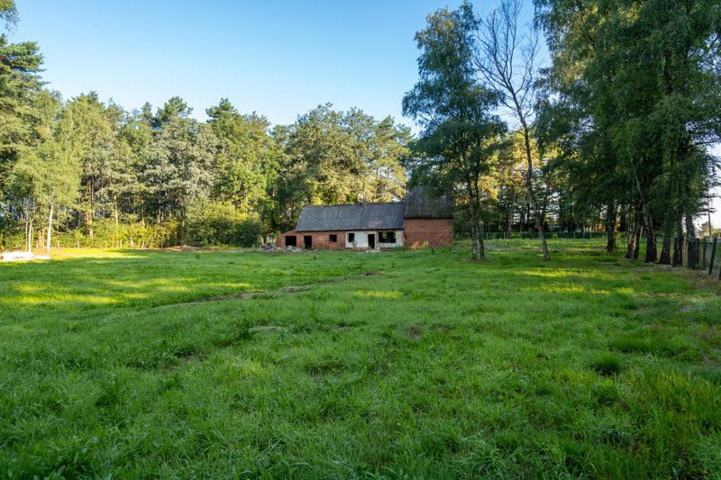 Uniek gelegen renovatieproject op 1,8 ha foto 11