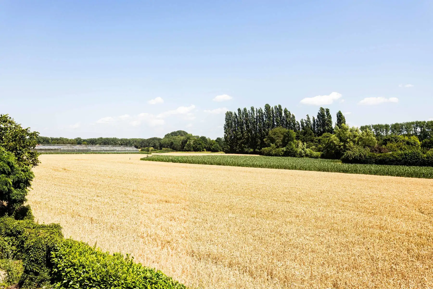 Te renoveren woning met grote tuin en atelier op toplocatie! foto 29