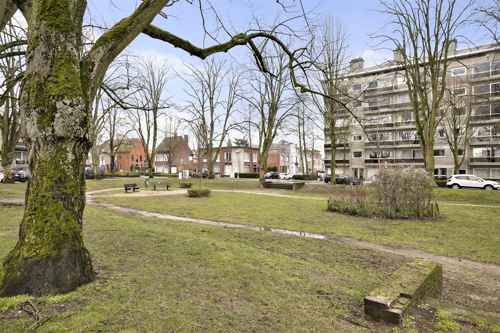 Stijlvol gerenoveerd 1 SLPK appartement op heerlijke ligging te Mortsel. foto 5